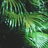 大崎
