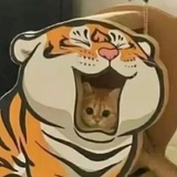 err曲项向天歌