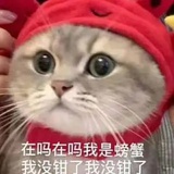 肥啦嘎嘎乐