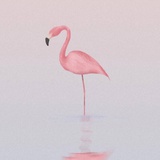 Bbe