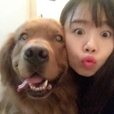 被枪毙的兔子