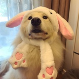 momomaru