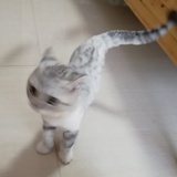 独孤孤独咕噜