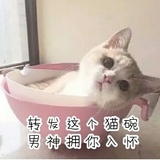 踩坑