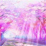 豆芽在发芽