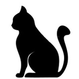 飞猫