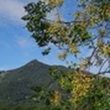 青山绿水sv