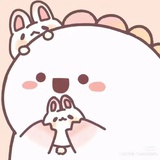 皮皮solo粥