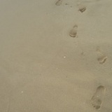 宓若蓝