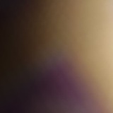 不知道叫什么