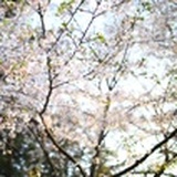 莫奈