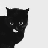 424