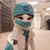 技能拙劣的赌徒