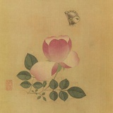 立晴
