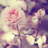 棉花糖