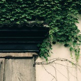 等等你吧