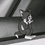 大树下的斑马