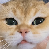KKYO.