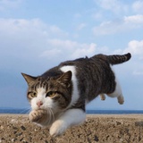 陈珑之