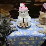 借笔吗