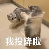 昼夜