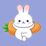 李理理