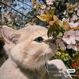 遨游外太空🌍✨