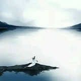 晏朝欢