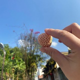 小兕子