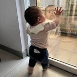 西米白