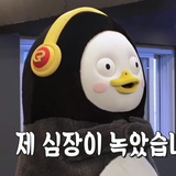 巧克力豆皮