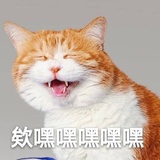 不吐槽会死星人