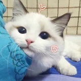 丧女눈_눈