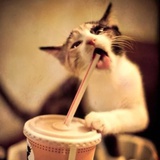 不要给我喝饮料