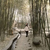 子非鱼