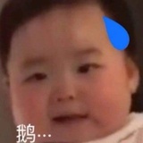 什么鬼