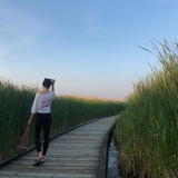 Soir_往往
