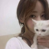 肉包子打狗狗