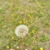 马小虎的好同学