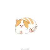 柚子猹