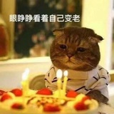 魔法打败魔法