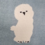 暄xuan
