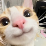 埃菲尔Arcobalen