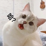 麦辣鸡翅一番
