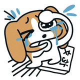 好好睡觉