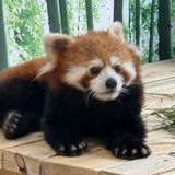 百无禁忌