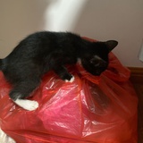 如此美丽小沙滩