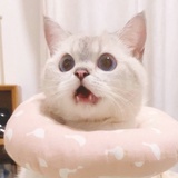 心知。