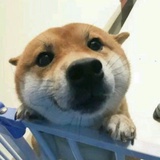 哦这样啊