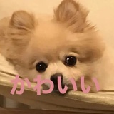 阿尔波墨涅